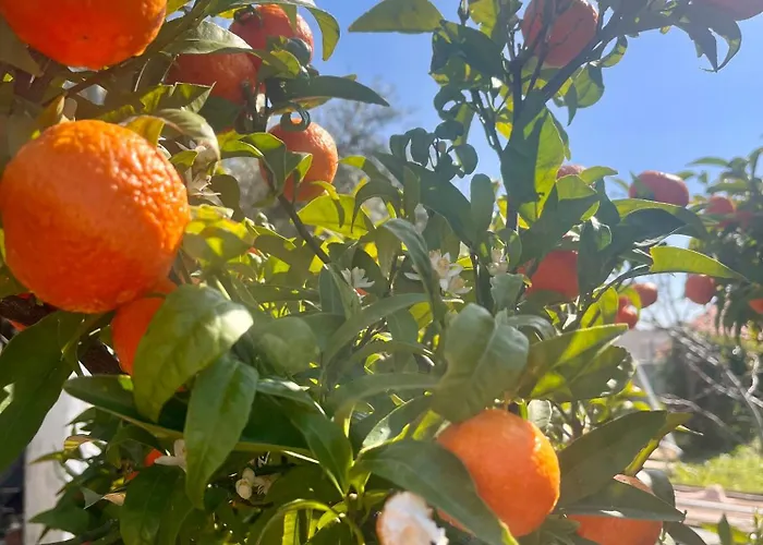 Oasis With Private Hammam-style Bath, Mini Golf Potokáki